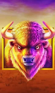Buffalo King